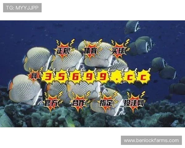 bg视讯登录入口官方平台安全稳定，提供全天候快速登录体验，保障玩家账号信息安全