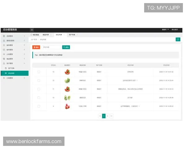 AG视讯APP官方账号注册与登录流程，确保用户快速安全进入游戏世界