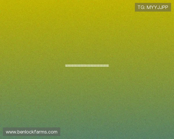 塞内加尔对阵伊拉克世界杯经验对比分析：战术布局与比赛结果探讨