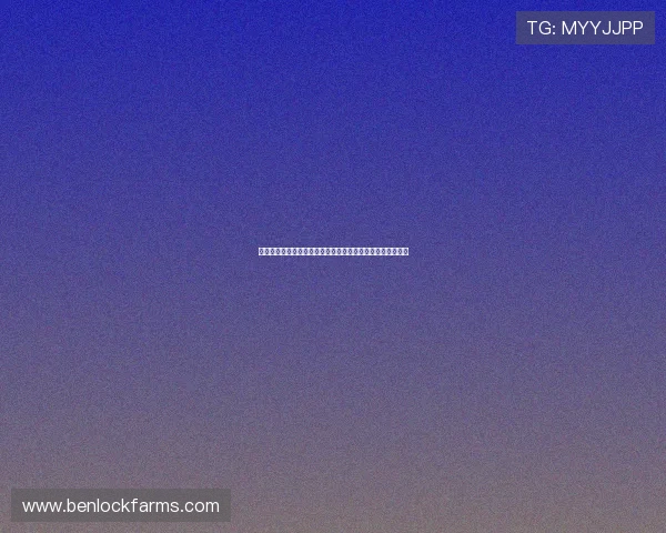 开云真人魔术在世界杯赛场上的精彩表演引发热议与球迷狂欢