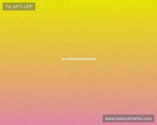 真人ag登录后如何优化游戏体验提升账号安全的实用技巧